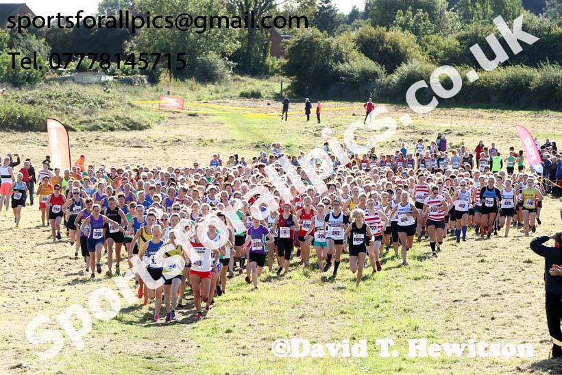 Senior womens 2019 Start Fitness Harrier League, Wrekenton, Gateshead. Photo: David T. Hewitson/Sports for All Pics